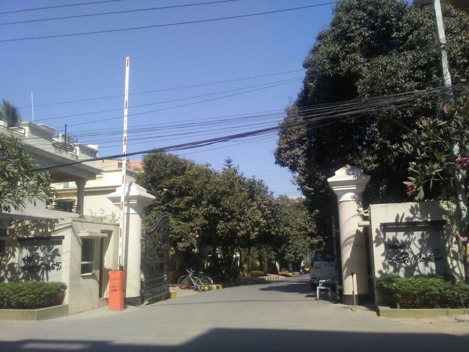 Bhavya Alluri Meadows