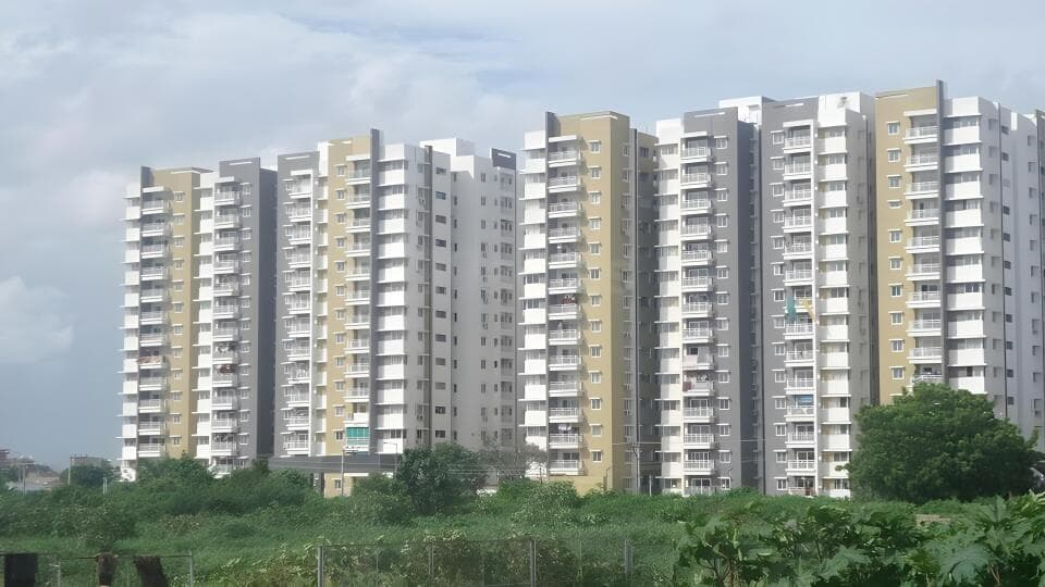 Bhavyas Tulasi Vanam project