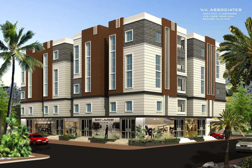 Dr Venus Nirmal Arcade project