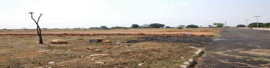 Incredible India Sparrow Shore Avenue