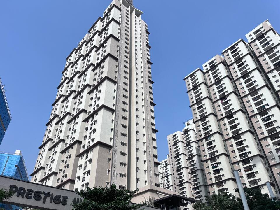 Prestige High Fields