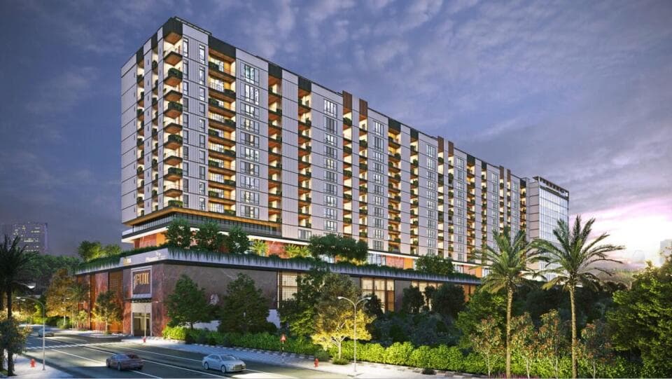 Realplus Fuji Halcyon