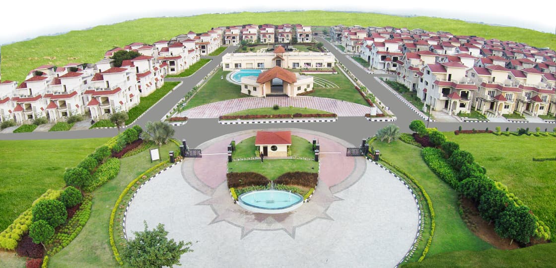 Suchirindias Timberleaf project