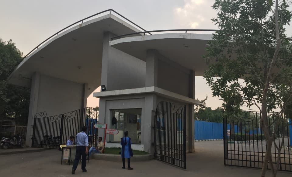 Vasudeva Bloomfield Ecstasy