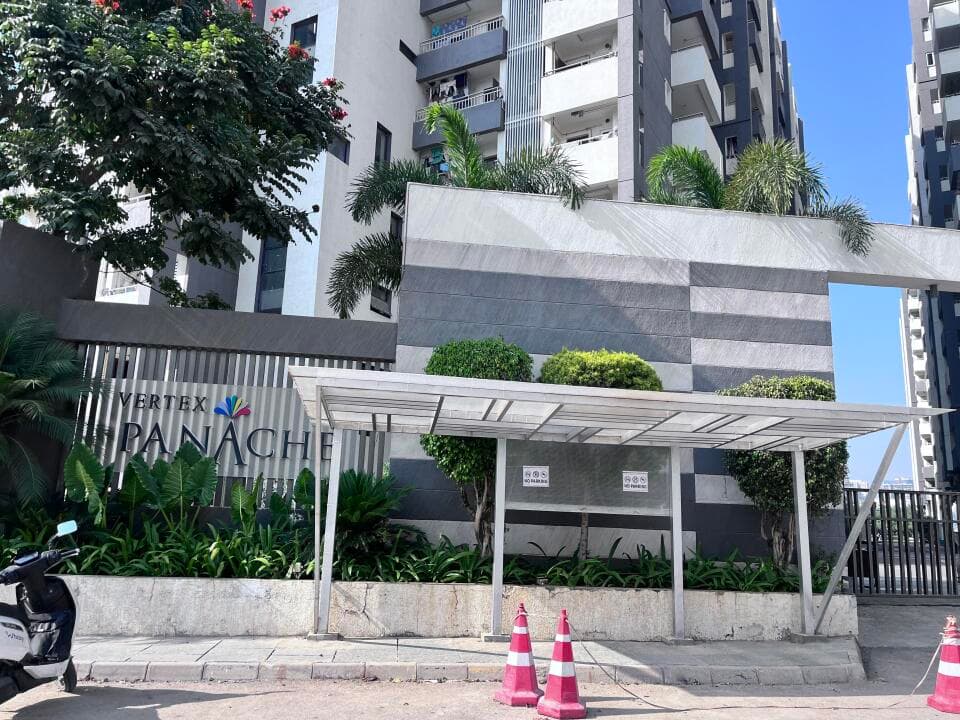 Vertex Panache project